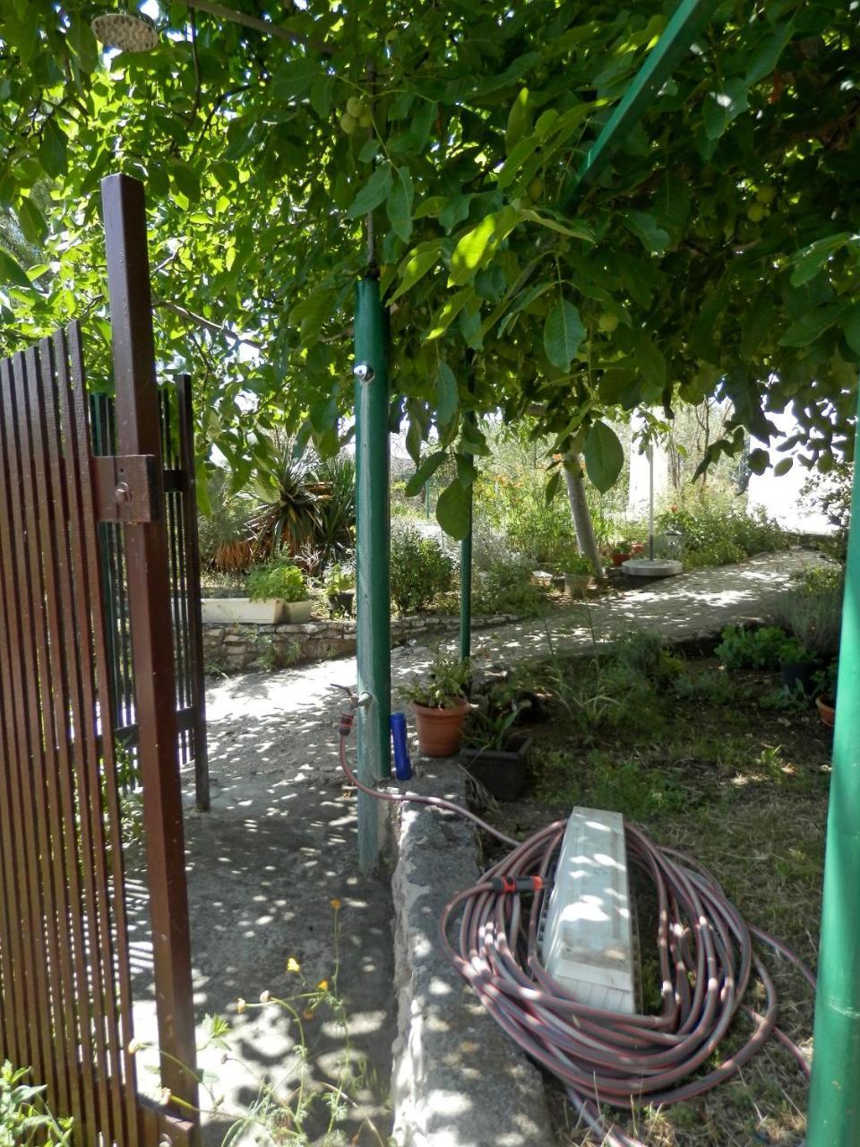 Apartments Zivana روغوزنيكا المظهر الخارجي الصورة